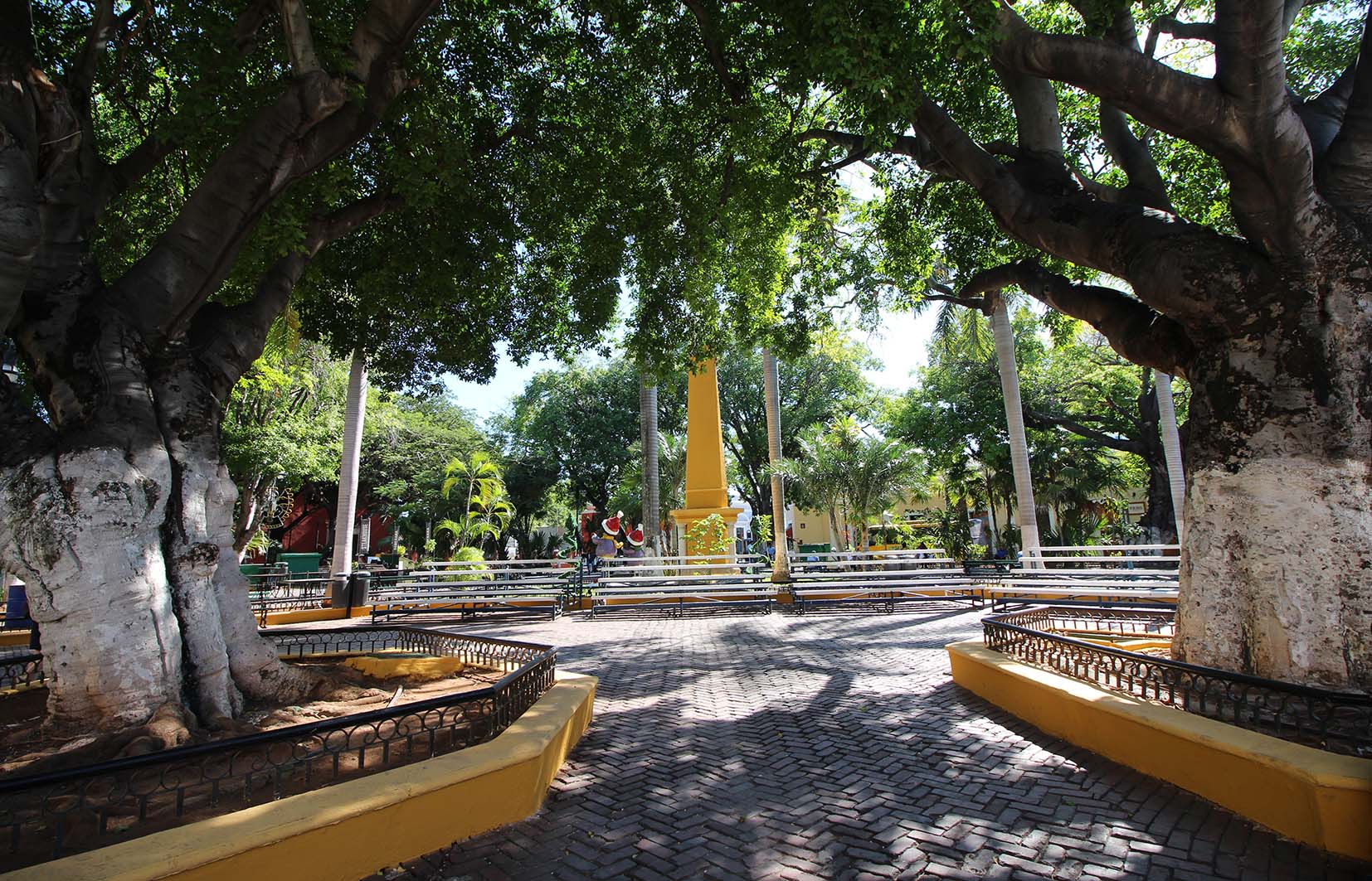 Foto del Jard&iacute;n